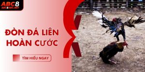 don-da-lien-hoan-cuoc